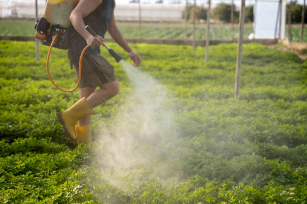 Best Residential Pest Control  in Midland, TX