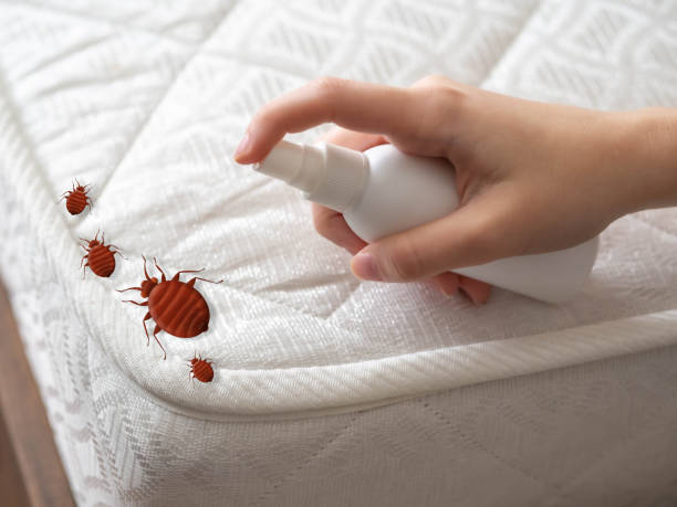 Best Bed Bug Extermination  in Midland, TX
