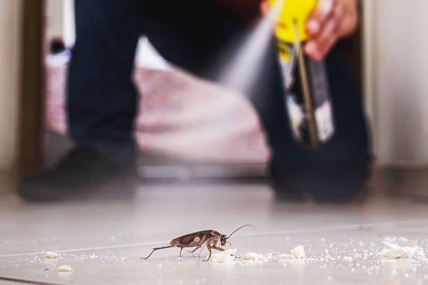 Best Best Pest Control Companies  in Midland, TX